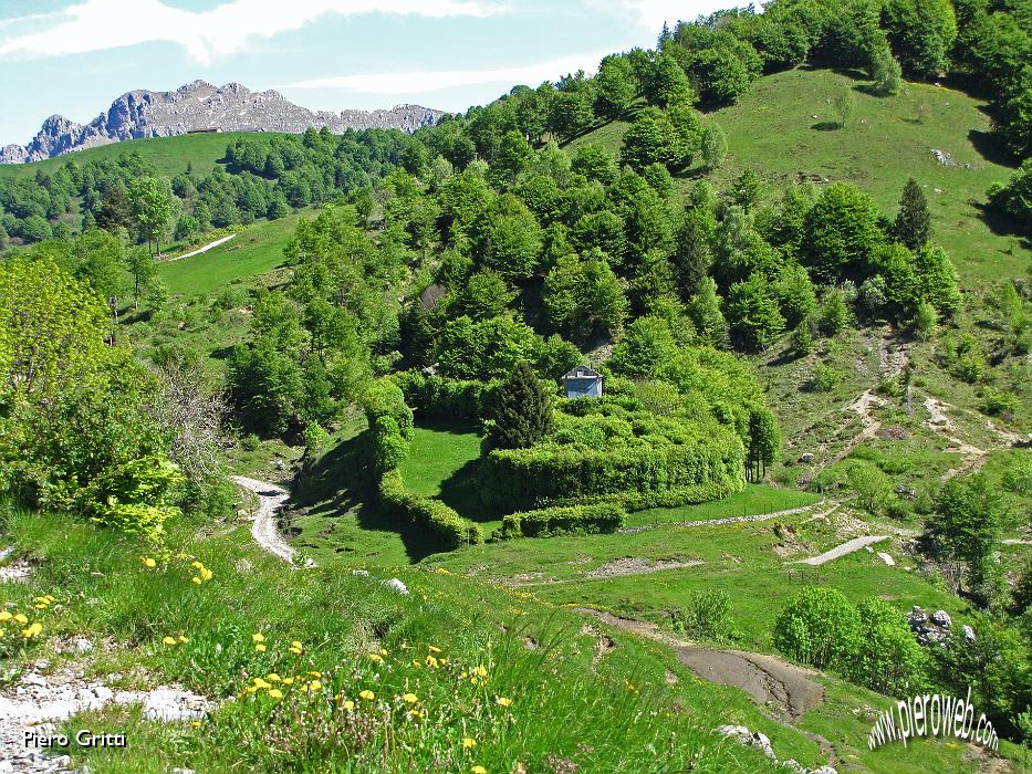 20 Ecco un bel roccolo e, sullo sfondo, lo Zuccone Campelli.jpg